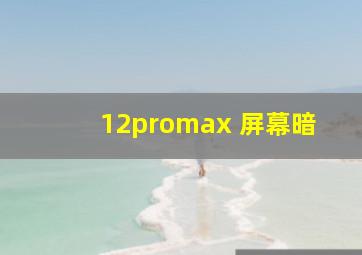 12promax 屏幕暗